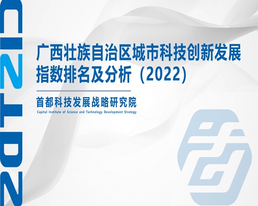 日屄片,【成果发布】广西壮族自治区城市科技创新发展指数排名及分析（2022）